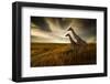 Giraffes and the Landscape-nexus 7-Framed Photographic Print