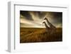 Giraffes and the Landscape-nexus 7-Framed Photographic Print