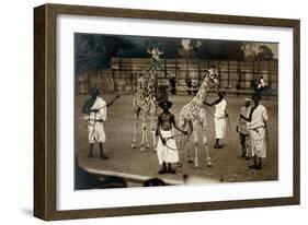 Giraffes and their Somali Handlers, C.1905-null-Framed Photographic Print