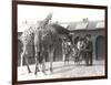 Giraffes and Visitors at Zsl London Zoo, from July 1926-Frederick William Bond-Framed Photographic Print