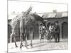 Giraffes and Visitors at Zsl London Zoo, from July 1926-Frederick William Bond-Mounted Photographic Print