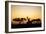 Giraffes at Dusk, Chobe National Park, Botswana-Paul Souders-Framed Photographic Print