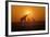 Giraffes at Sunset-null-Framed Photographic Print