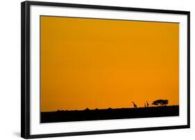 Giraffes at Sunset-null-Framed Photographic Print