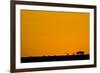 Giraffes at Sunset-null-Framed Photographic Print