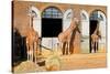 Giraffes at the London Zoo in Regent Park-Kamira-Stretched Canvas