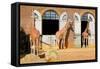 Giraffes at the London Zoo in Regent Park-Kamira-Framed Stretched Canvas