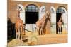 Giraffes at the London Zoo in Regent Park-Kamira-Mounted Photographic Print