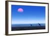 Giraffes (Giraffa Camelopardalis) Walking over Flat Open Plains with Sunset. Etosha National Park (-Johan Swanepoel-Framed Photographic Print