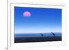 Giraffes (Giraffa Camelopardalis) Walking over Flat Open Plains with Sunset. Etosha National Park (-Johan Swanepoel-Framed Photographic Print