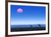 Giraffes (Giraffa Camelopardalis) Walking over Flat Open Plains with Sunset. Etosha National Park (-Johan Swanepoel-Framed Photographic Print