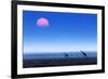 Giraffes (Giraffa Camelopardalis) Walking over Flat Open Plains with Sunset. Etosha National Park (-Johan Swanepoel-Framed Photographic Print