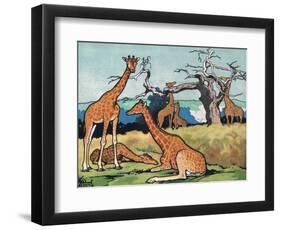 Giraffes, Illustration from 'Pads, Paws and Claws', 1924-null-Framed Premium Giclee Print