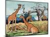 Giraffes, Illustration from 'Pads, Paws and Claws', 1924-null-Mounted Premium Giclee Print