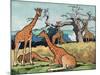 Giraffes, Illustration from 'Pads, Paws and Claws', 1924-null-Mounted Giclee Print