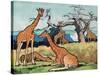 Giraffes, Illustration from 'Pads, Paws and Claws', 1924-null-Stretched Canvas