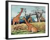 Giraffes, Illustration from 'Pads, Paws and Claws', 1924-null-Framed Premium Giclee Print