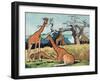 Giraffes, Illustration from 'Pads, Paws and Claws', 1924-null-Framed Giclee Print