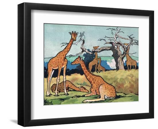 Premium Giclee Print, , large