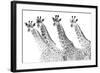 Giraffes in a Row - Bold-Staffan Widstrand-Framed Giclee Print