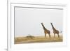 Giraffes in Masai Mara National Reserve-Paul Souders-Framed Photographic Print