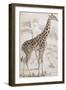 Giraffes in North Africa-null-Framed Photographic Print