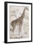 Giraffes in North Africa-null-Framed Photographic Print