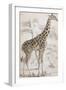 Giraffes in North Africa-null-Framed Photographic Print