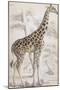 Giraffes in North Africa-null-Mounted Photographic Print