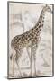 Giraffes in North Africa-null-Mounted Photographic Print