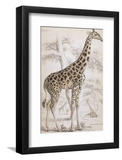 Photographic Print, , large