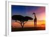 Giraffes in the Savannah at Sunset-weerasak saeku-Framed Photographic Print