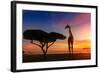 Giraffes in the Savannah at Sunset-weerasak saeku-Framed Photographic Print