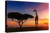 Giraffes in the Savannah at Sunset-weerasak saeku-Stretched Canvas
