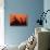 Giraffes 'Necking' at Sunset-null-Stretched Canvas displayed on a wall