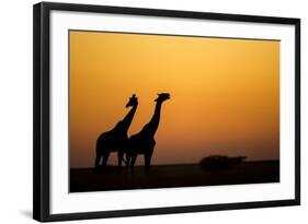 Giraffes, Nxai Pan National Park, Botswana-Paul Souders-Framed Photographic Print