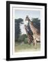 Giraffes of Manyara from the Artist's Africa Portfolio-Dennis Curry-Framed Collectable Print