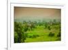 Giraffes on Safari, Mizumi Safari Park, Tanzania, East Africa, Africa-Laura Grier-Framed Photographic Print