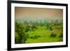 Giraffes on Safari, Mizumi Safari Park, Tanzania, East Africa, Africa-Laura Grier-Framed Photographic Print