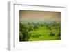 Giraffes on Safari, Mizumi Safari Park, Tanzania, East Africa, Africa-Laura Grier-Framed Photographic Print