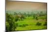 Giraffes on Safari, Mizumi Safari Park, Tanzania, East Africa, Africa-Laura Grier-Mounted Photographic Print