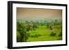 Giraffes on Safari, Mizumi Safari Park, Tanzania, East Africa, Africa-Laura Grier-Framed Photographic Print