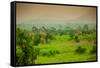 Giraffes on Safari, Mizumi Safari Park, Tanzania, East Africa, Africa-Laura Grier-Framed Stretched Canvas