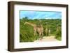 Giraffes on the Road-Karel Gallas-Framed Photographic Print