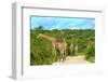 Giraffes on the Road-Karel Gallas-Framed Photographic Print