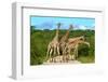 Giraffes Overcrowding,Namibia-Karel Gallas-Framed Photographic Print