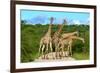 Giraffes Overcrowding,Namibia-Karel Gallas-Framed Photographic Print