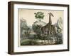 Giraffes Scent Danger-null-Framed Art Print