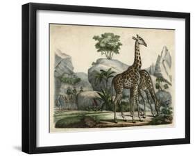 Giraffes Scent Danger-null-Framed Art Print