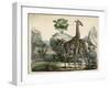 Giraffes Scent Danger-null-Framed Art Print